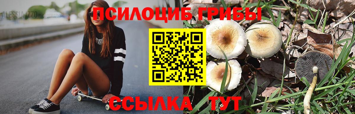 Белорецк  Псилоцибиновые грибы Magic Shrooms  Вход с VPN 
